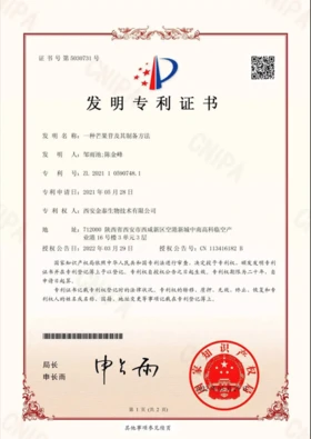 Invention Patent Certificate