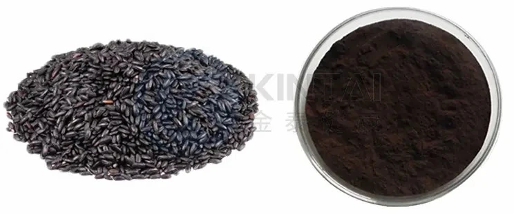 Black Rice Extract Powder Black Rice Extract Powder